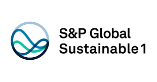 S&P Global Sustainable1? 